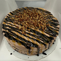 Turtle Cake